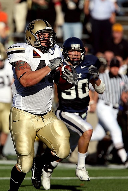 乐迪多次利 乐迪多次利