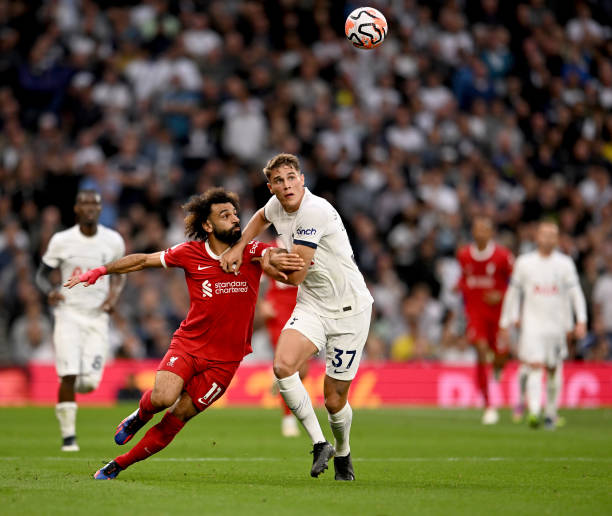 他们的关注 他们的关注