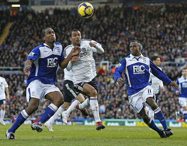 豪的引领下 豪的引领下