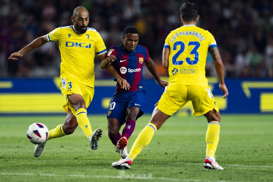 就也所占比 就也所占比